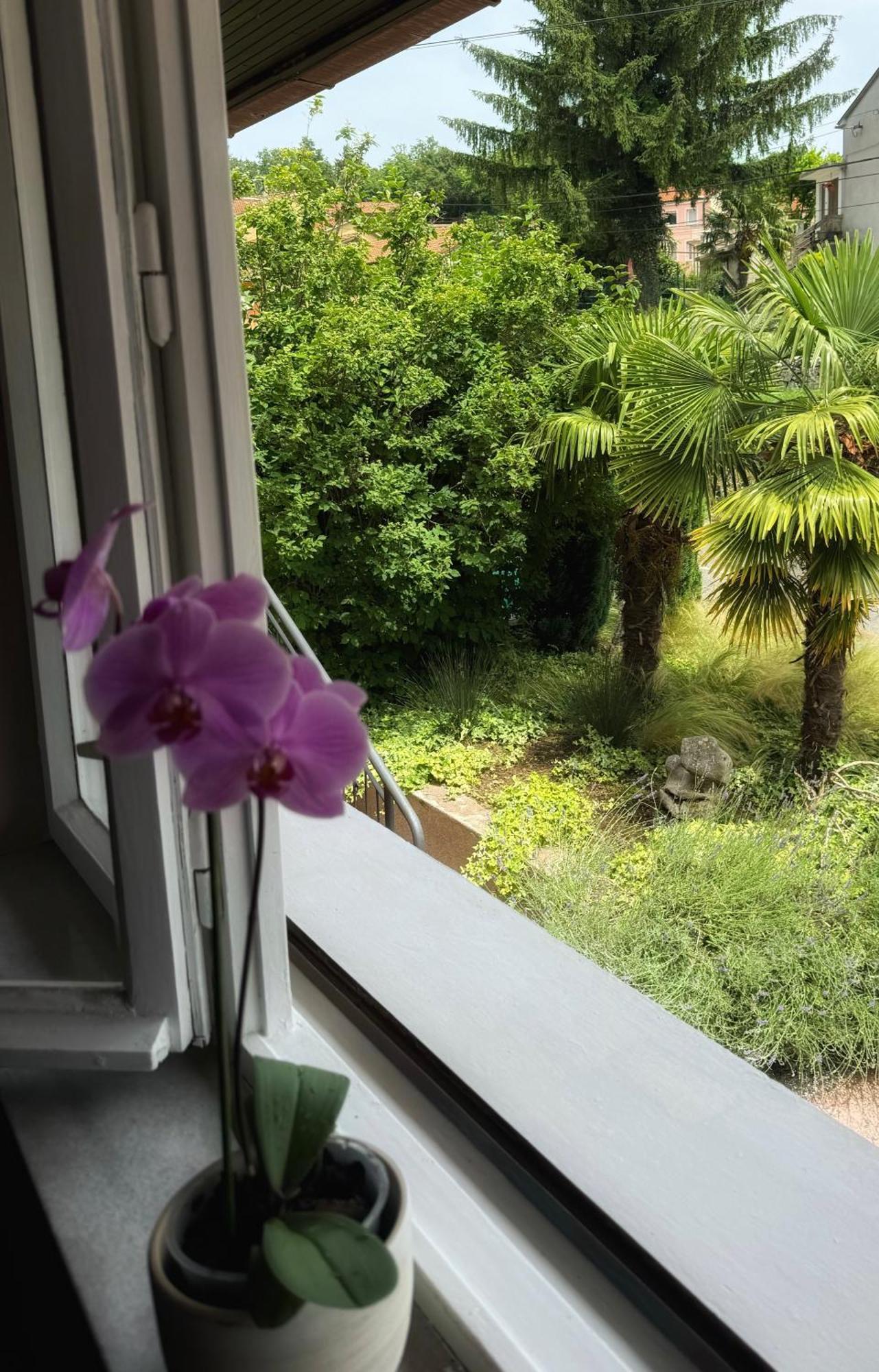 Zogar Apartment มาทุลยี ภายนอก รูปภาพ